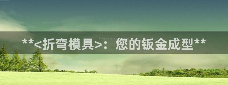 太阳成集团tyc234cc主页网站：**<折弯模具>：您的钣金成型**