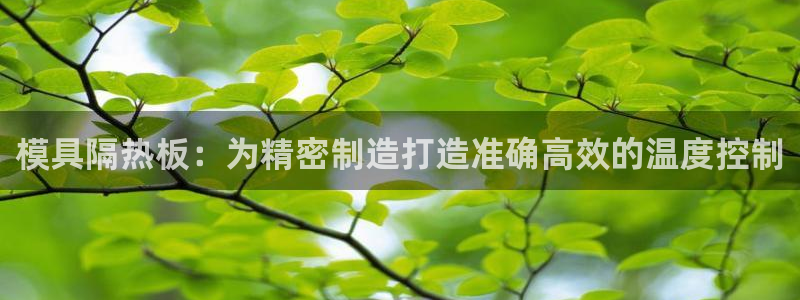 太阳集团的法人代表：模具隔热板：为精密制造打造准确高效的温度控制