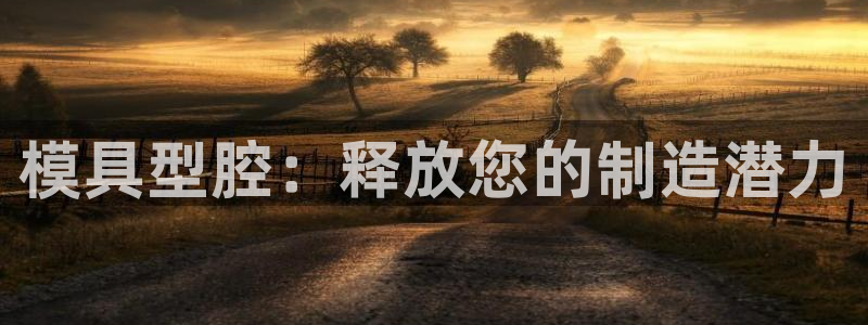 太阳集团的法人代表：模具型腔：释放您的制造潜力