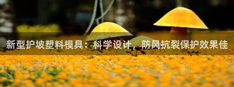 太阳集团总裁：新型护坡塑料模具：科学设计，防风抗裂保护效果佳