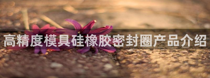 太阳gg登录首页：高精度模具硅橡胶密封圈产品介绍