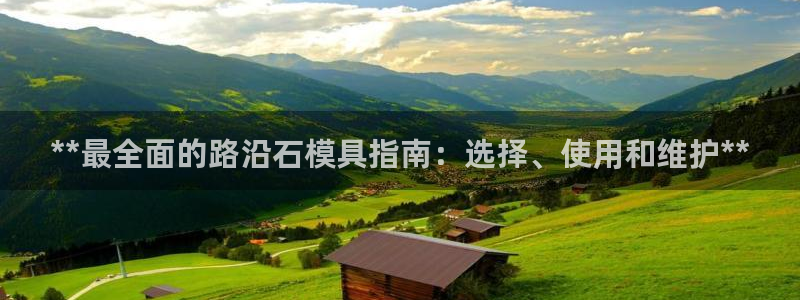 太阳成集团电子游戏：**最全面的路沿石模具指南：选择、使用和维护**