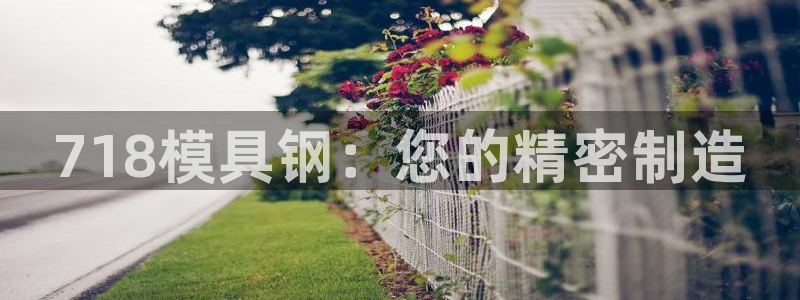 太阳诚集团：718模具钢：您的精密制造