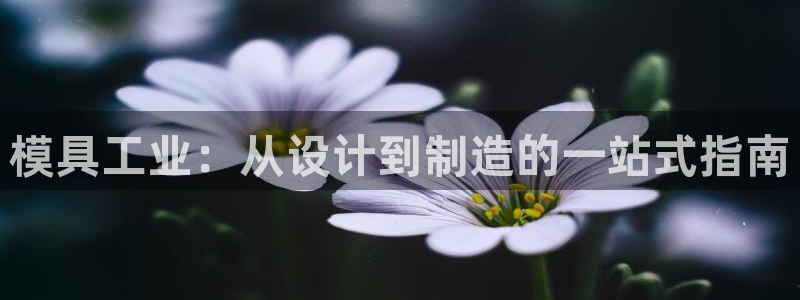 太阳诚集团有限公司是国企吗还是私企：模具工业：从设计到制造的一站式指南
