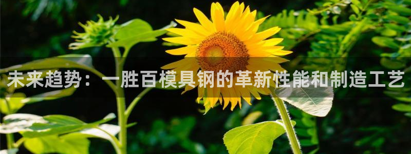 太阳1城集团网址查询：未来趋势：一胜百模具钢的革新性能和制造工艺
