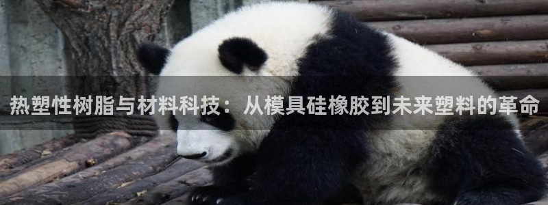 太阳集团城网址娱网：热塑性树脂与材料科技：从模具硅橡胶到未来塑料的革命