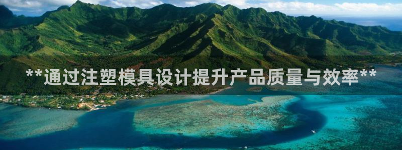太阳成集团tyc234cc[主页]网站振兴：**通过注塑模具设计提升产品质量与效率**