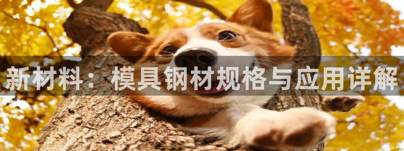 太阳成集团tyc33455cc：新材料：模具钢材规格与应用详解