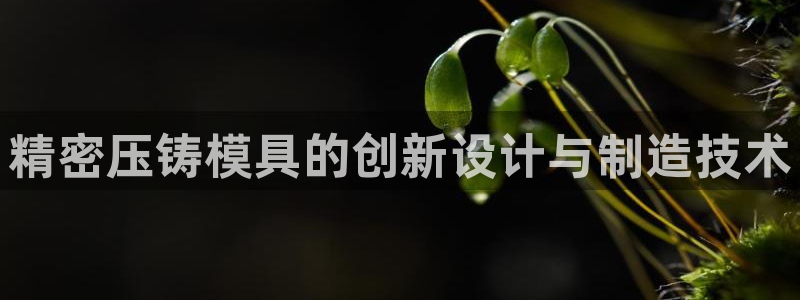 太阳成集团tyc234cc[主页]振：精密压铸模具的创新设计与制造技术