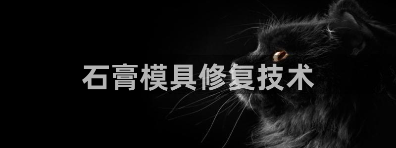 太阳集团公司董事长：石膏模具修复技术