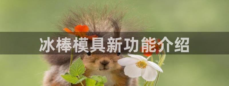 太阳集团市值：冰棒模具新功能介绍