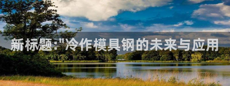 太阳诚集团是干什么的：新标题:\
