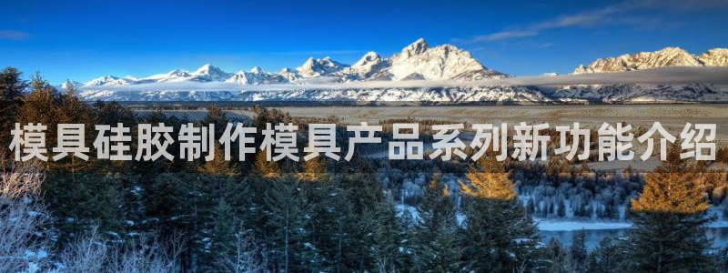 太阳2平台网址：模具硅胶制作模具产品系列新功能介绍