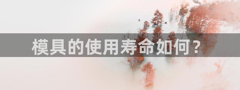 1593太阳集团城所有网址：模具的使用寿命如何？