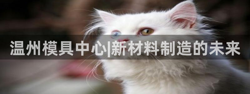 太阳gg平台注册：温州模具中心|新材料制造的未来