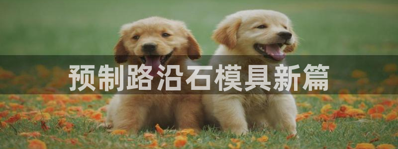 太阳集团洗米华菲律宾：预制路沿石模具新篇