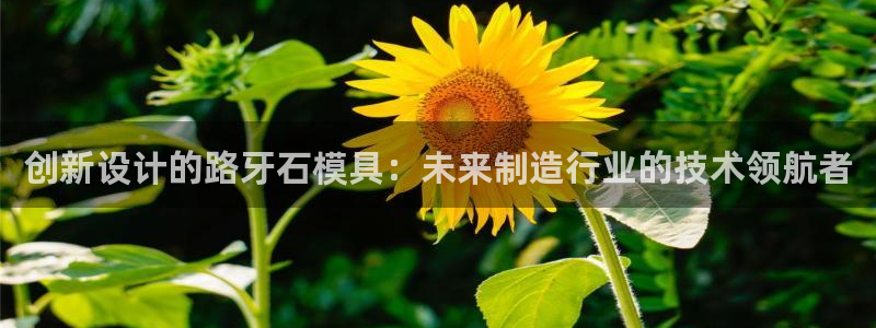 太阳集团app十佳平台怎么样：创新设计的路牙石模具：未来制造行业的技术领航者