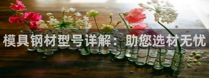 太阳诚集团有限公司是国企吗还是私企：模具钢材型号详解：助您选材无忧