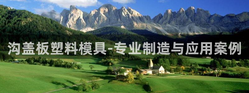 太阳集团app十佳平台是什么：沟盖板塑料模具-专业制造与应用案例