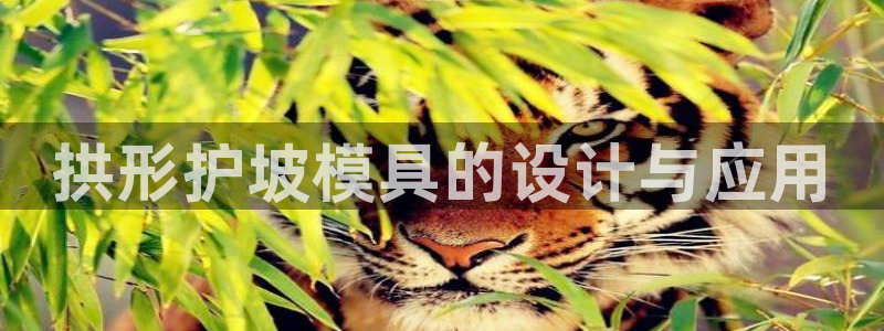 太阳成集团是干嘛的：拱形护坡模具的设计与应用