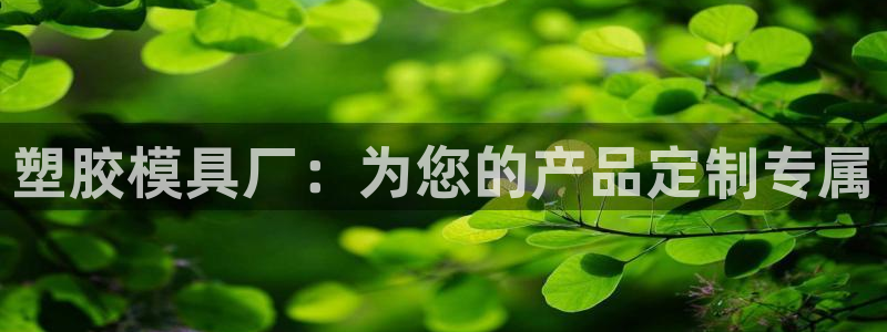 太阳集团游戏城旧版：塑胶模具厂：为您的产品定制专属