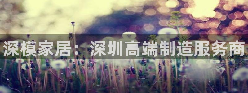 太阳诚集团在线：深模家居：深圳高端制造服务商