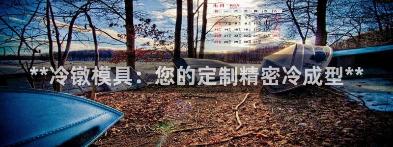 太阳成集团控股买购网