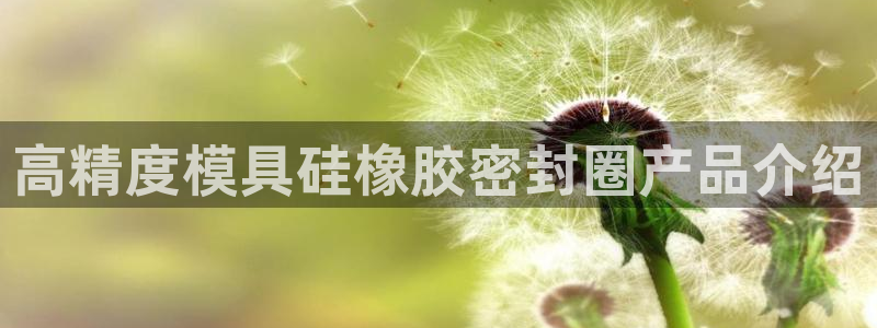 太阳成集团tyc151：高精度模具硅橡胶密封圈产品介绍