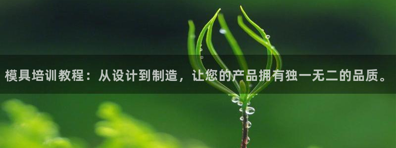 太阳影业投资