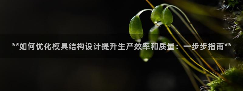 太阳集团tcy8722贵宾会：**如何优化模具结构设计提升生产效率和质量：一步步指南**