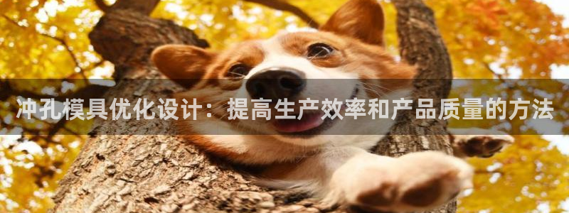 太阳集团app首页：冲孔模具优化设计：提高生产效率和产品质量的方法