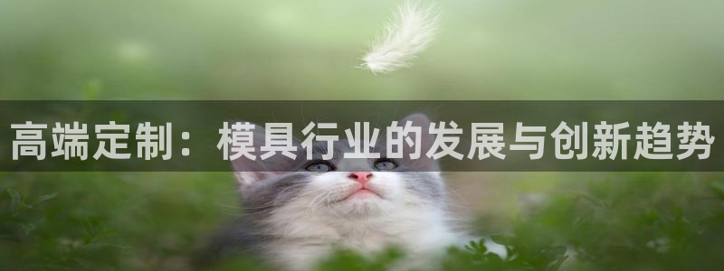 太阳集团入口官网首页：高端定制：模具行业的发展与创新趋势