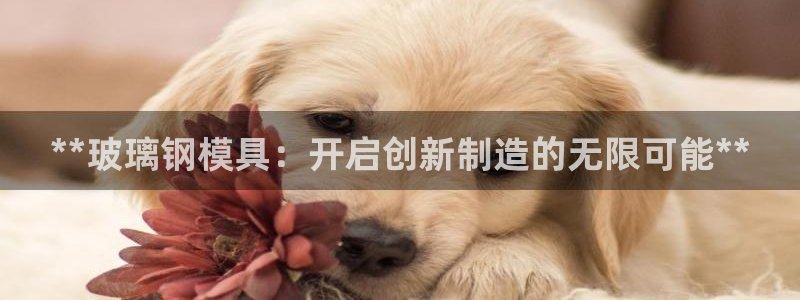 太阳成集团tyc9728：**玻璃钢模具：开启创新制造的无限可能**