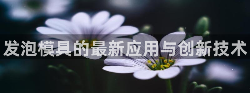 太阳集团的老总是谁：发泡模具的最新应用与创新技术