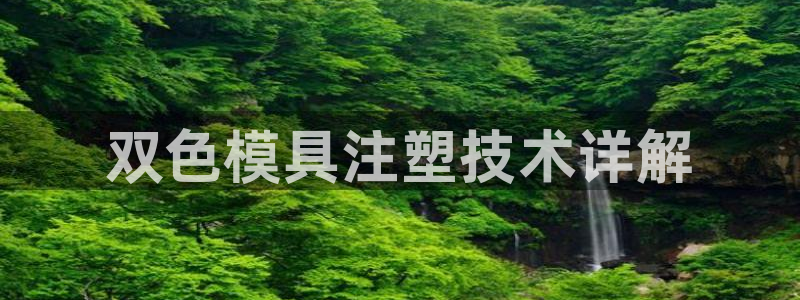 澳门太阳集团老板洗米华：双色模具注塑技术详解