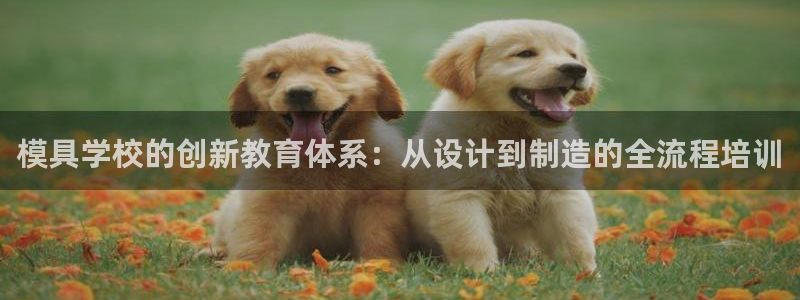 太阳成集团娱乐网站：模具学校的创新教育体系：从设计到制造的全流程培训