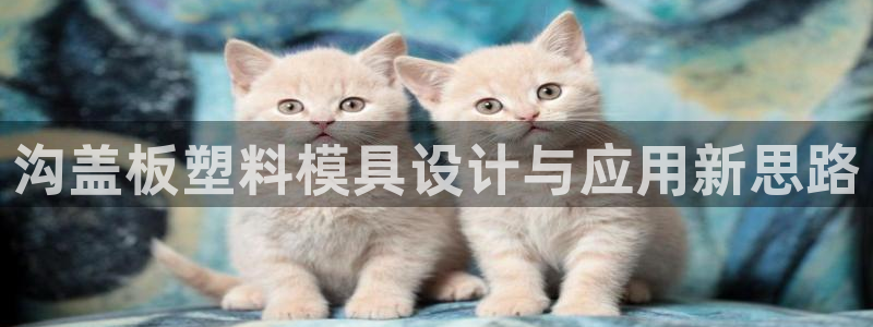 太阳成集团是干嘛的：沟盖板塑料模具设计与应用新思路