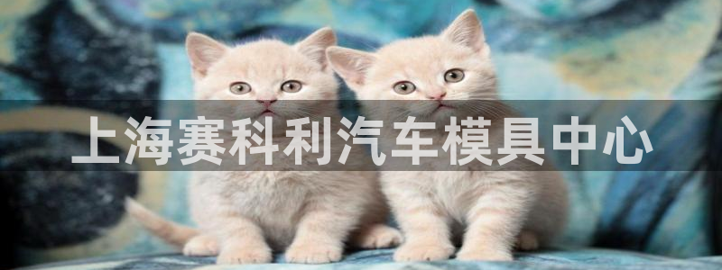 太阳集团电子游戏官方网站：上海赛科利汽车模具中心