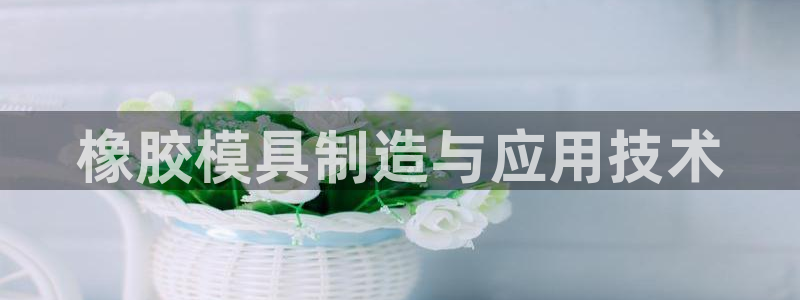 太阳集团董事长是谁