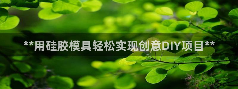 太阳集团是怎样一个公司