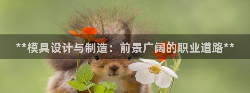太阳集团网站官网：**模具设计与制造：前景广阔的职业道路**