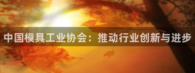 太阳诚集团有限公司是国企吗：中国模具工业协会：推动行业创新与进步