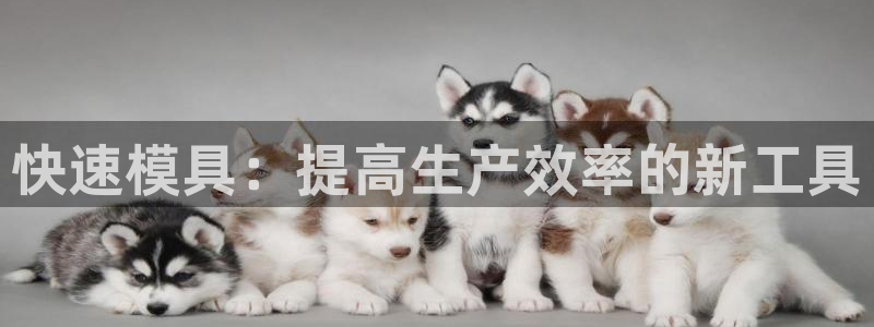 太阳诚集团APP在线观看：快速模具：提高生产效率的新工具