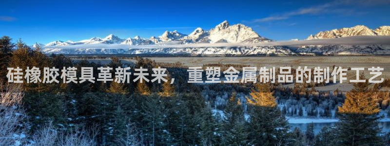 太阳成集团tyc7111cc的研发体系：硅橡胶模具革新未来，重塑金属制品的制作工艺