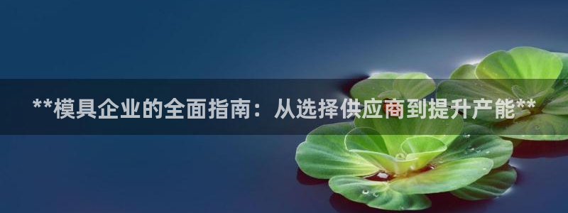 太阳集团电子游戏宙斯：**模具企业的全面指南：从选择供应商到提升产能**