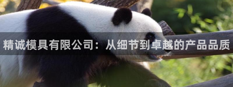 太阳诚集团视频：精诚模具有限公司：从细节到卓越的产品品质