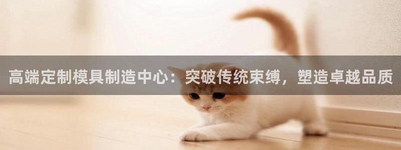 江苏太阳集团冷青松：高端定制模具制造中心：突破传统束缚，塑造卓越品质