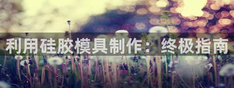 太阳1城集团网址是多少：利用硅胶模具制作：终极指南