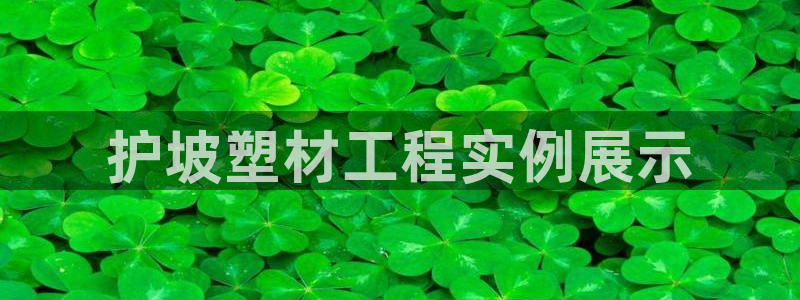 古天乐代言澳门太阳游戏网址：护坡塑材工程实例展示