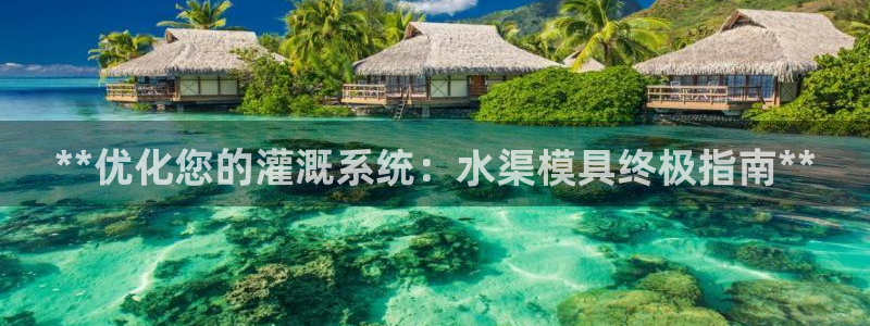 太阳集团董事长的儿子照片：**优化您的灌溉系统：水渠模具终极指南**